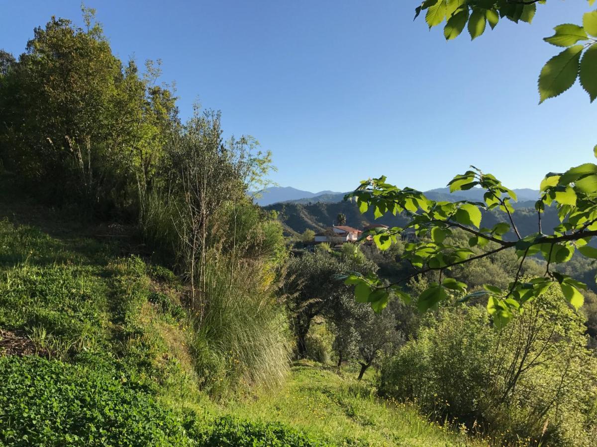 本温怒提内尔南基酒店 Sessa Cilento 外观 照片