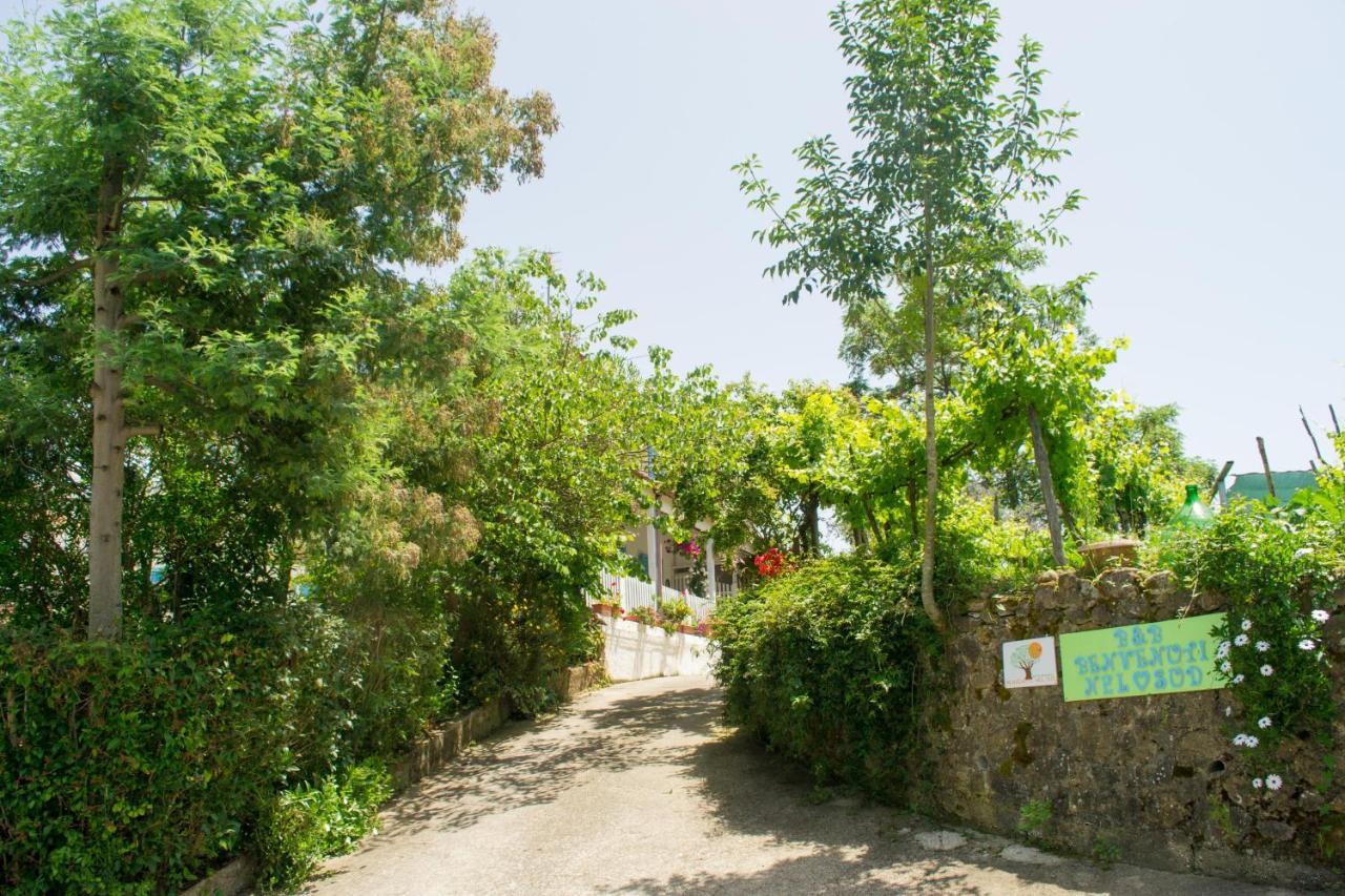 本温怒提内尔南基酒店 Sessa Cilento 外观 照片